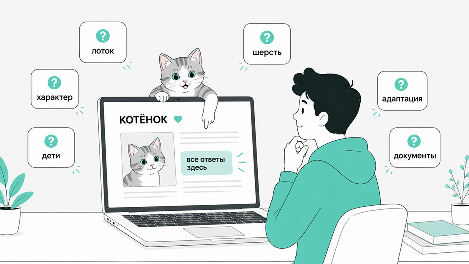 SEO для питомника кошек